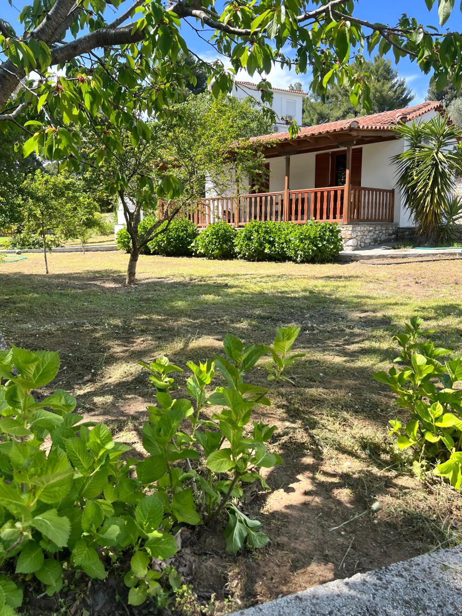 Panos Villa Koukounaries