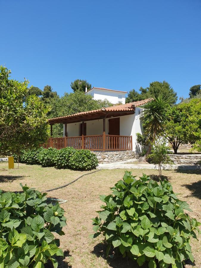 Villa Panos *